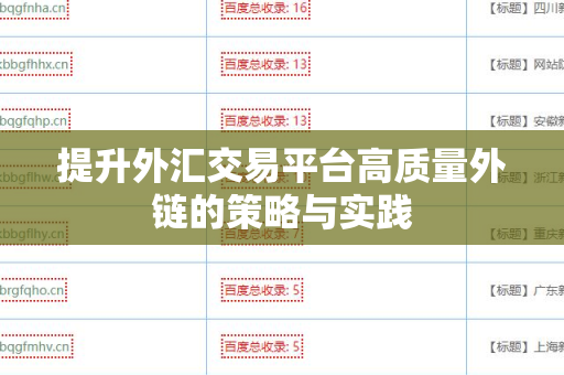 提升外汇交易平台高质量外链的策略与实践