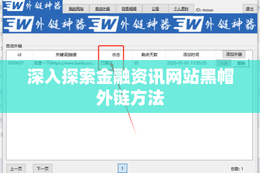 深入探索金融资讯网站黑帽外链方法