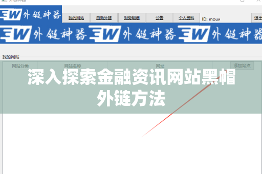 深入探索金融资讯网站黑帽外链方法