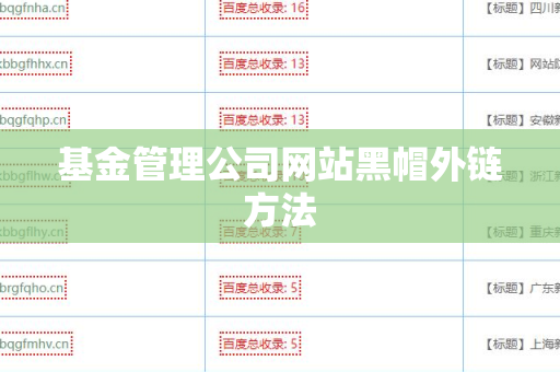基金管理公司网站黑帽外链方法