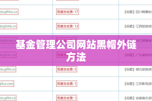 基金管理公司网站黑帽外链方法