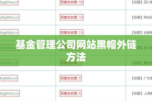 基金管理公司网站黑帽外链方法