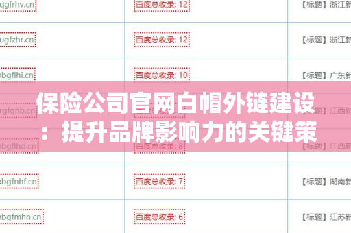 保险公司官网白帽外链建设：提升品牌影响力的关键策略