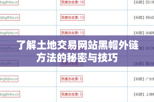了解土地交易网站黑帽外链方法的秘密与技巧