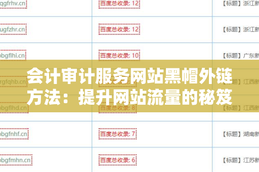 会计审计服务网站黑帽外链方法：提升网站流量的秘笈