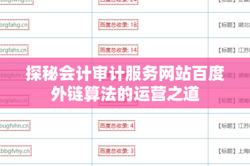 探秘会计审计服务网站百度外链算法的运营之道
