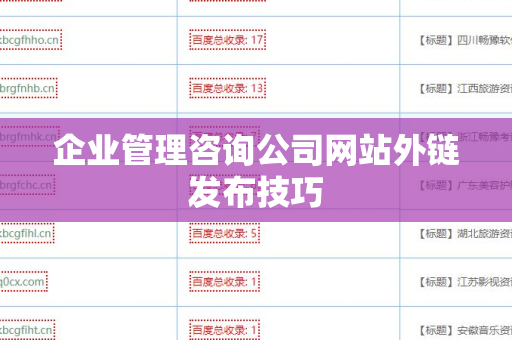 企业管理咨询公司网站外链发布技巧