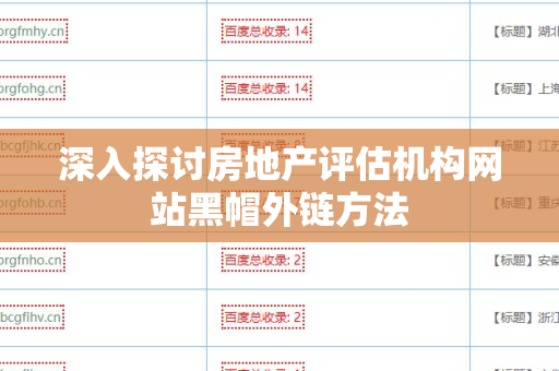 深入探讨房地产评估机构网站黑帽外链方法