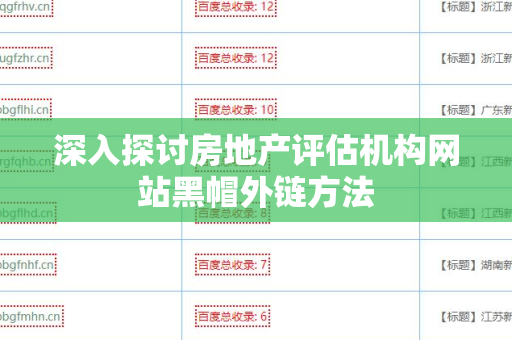 深入探讨房地产评估机构网站黑帽外链方法