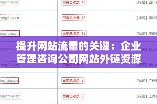 提升网站流量的关键：企业管理咨询公司网站外链资源