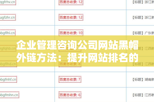 企业管理咨询公司网站黑帽外链方法：提升网站排名的技巧与风险分析