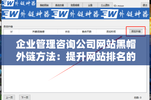 企业管理咨询公司网站黑帽外链方法：提升网站排名的技巧与风险分析