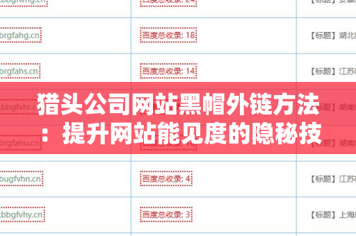 猎头公司网站黑帽外链方法：提升网站能见度的隐秘技巧