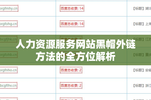 人力资源服务网站黑帽外链方法的全方位解析