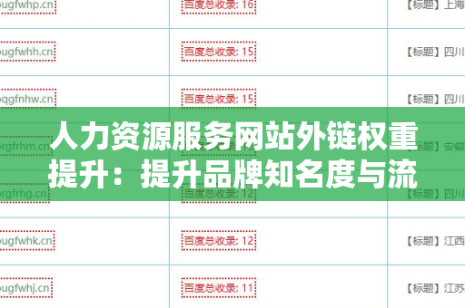 人力资源服务网站外链权重提升：提升品牌知名度与流量的秘籍