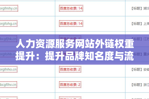 人力资源服务网站外链权重提升：提升品牌知名度与流量的秘籍