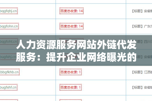 人力资源服务网站外链代发服务：提升企业网络曝光的利器