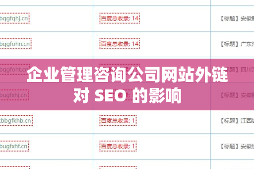企业管理咨询公司网站外链对 SEO 的影响
