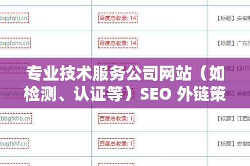 专业技术服务公司网站（如检测、认证等）SEO 外链策略