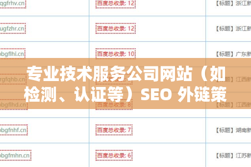 专业技术服务公司网站（如检测、认证等）SEO 外链策略