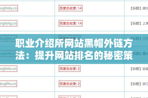 职业介绍所网站黑帽外链方法：提升网站排名的秘密策略