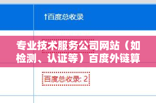 专业技术服务公司网站（如检测、认证等）百度外链算法的深度解析与应用