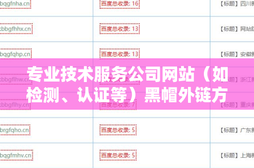 专业技术服务公司网站（如检测、认证等）黑帽外链方法