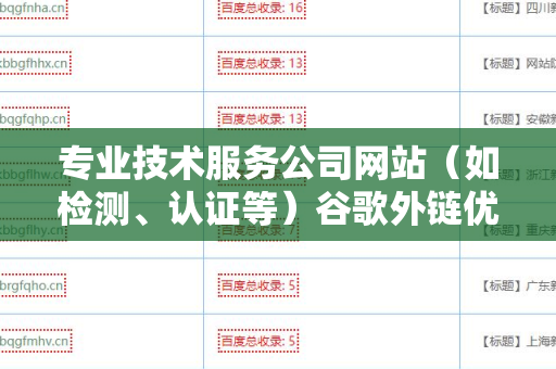 专业技术服务公司网站（如检测、认证等）谷歌外链优化的全面指南