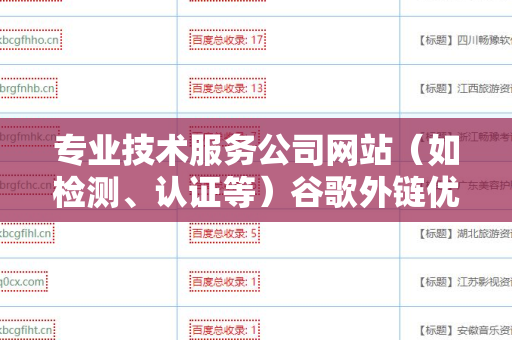 专业技术服务公司网站（如检测、认证等）谷歌外链优化的全面指南