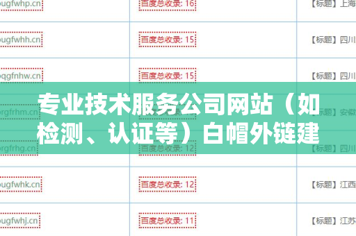专业技术服务公司网站（如检测、认证等）白帽外链建设