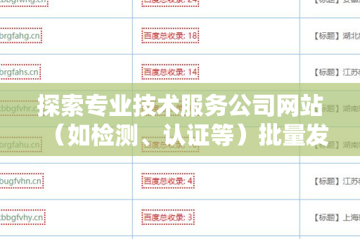 探索专业技术服务公司网站（如检测、认证等）批量发外链工具的优势和应用