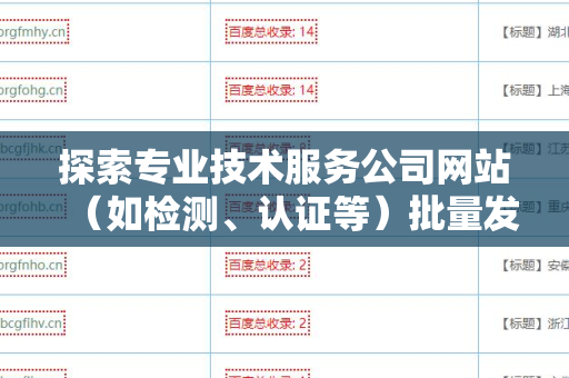 探索专业技术服务公司网站（如检测、认证等）批量发外链工具的优势和应用