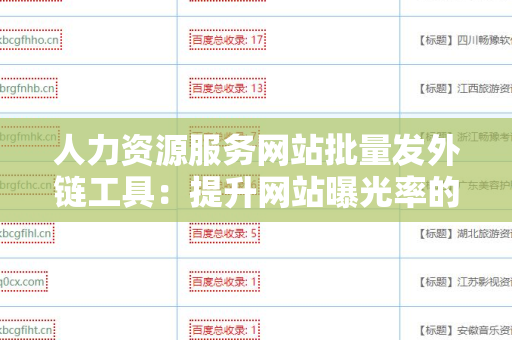 人力资源服务网站批量发外链工具：提升网站曝光率的有效方案