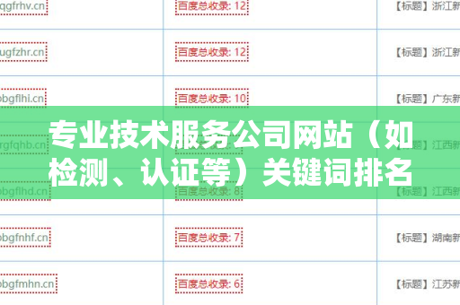专业技术服务公司网站（如检测、认证等）关键词排名与外链的重要性