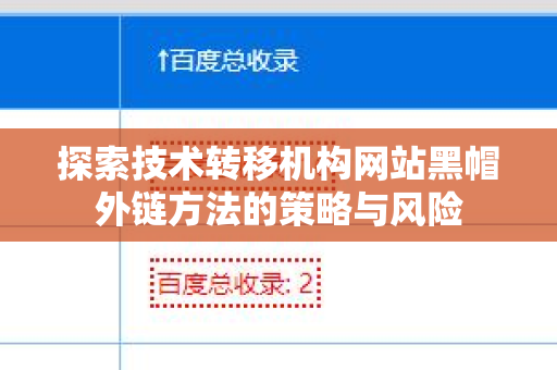 探索技术转移机构网站黑帽外链方法的策略与风险