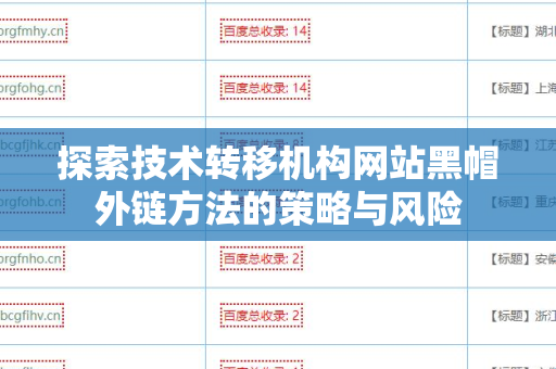 探索技术转移机构网站黑帽外链方法的策略与风险
