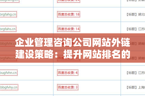 企业管理咨询公司网站外链建设策略：提升网站排名的新方法