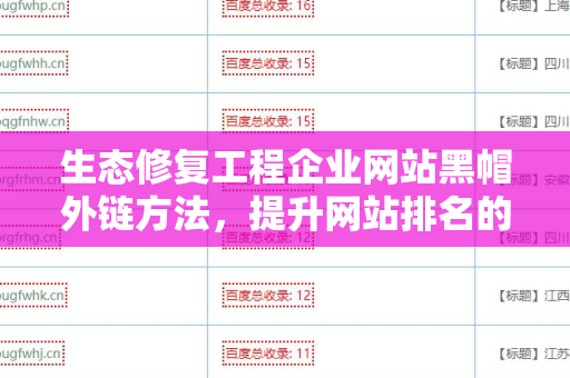 生态修复工程企业网站黑帽外链方法，提升网站排名的一种策略
