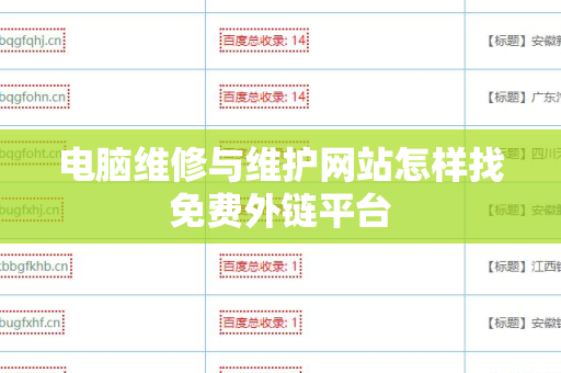 电脑维修与维护网站怎样找免费外链平台