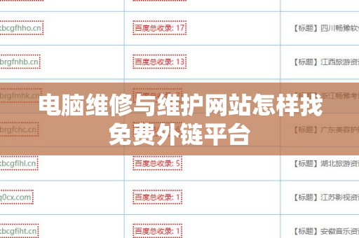 电脑维修与维护网站怎样找免费外链平台