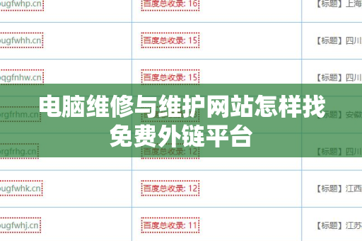 电脑维修与维护网站怎样找免费外链平台