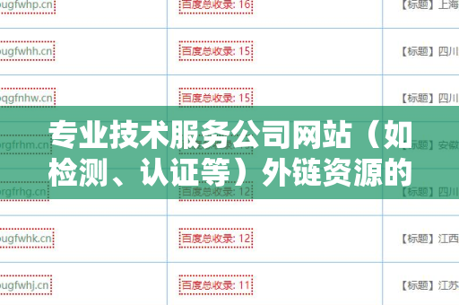 专业技术服务公司网站（如检测、认证等）外链资源的重要性与优化策略