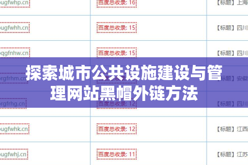 探索城市公共设施建设与管理网站黑帽外链方法