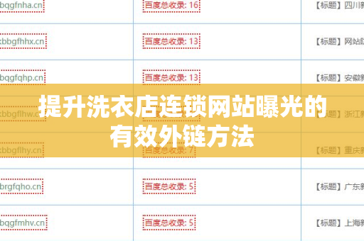提升洗衣店连锁网站曝光的有效外链方法