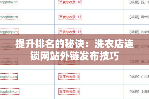 提升排名的秘诀：洗衣店连锁网站外链发布技巧