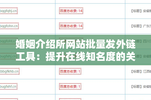 婚姻介绍所网站批量发外链工具：提升在线知名度的关键利器