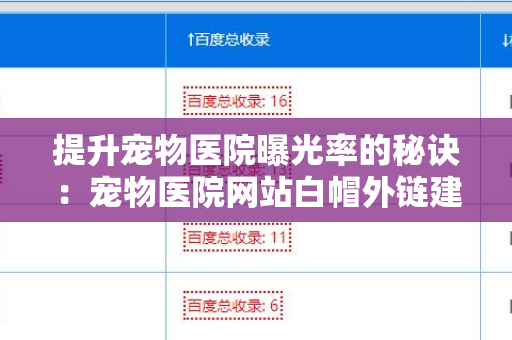 提升宠物医院曝光率的秘诀：宠物医院网站白帽外链建设