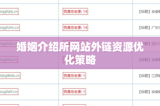 婚姻介绍所网站外链资源优化策略