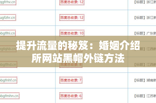 提升流量的秘笈：婚姻介绍所网站黑帽外链方法