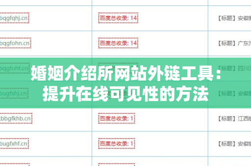 婚姻介绍所网站外链工具：提升在线可见性的方法